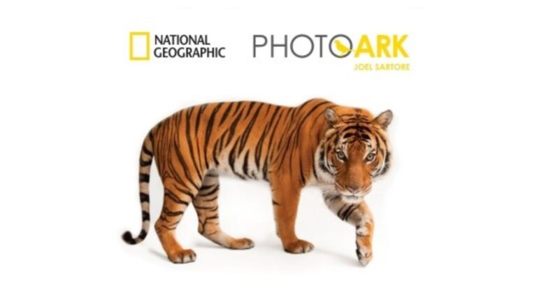 นิทรรศการ National Geographic Photo Ark และเปิดตัวแคมเปญออนไลน์ “Virtual Jungle Thailand”